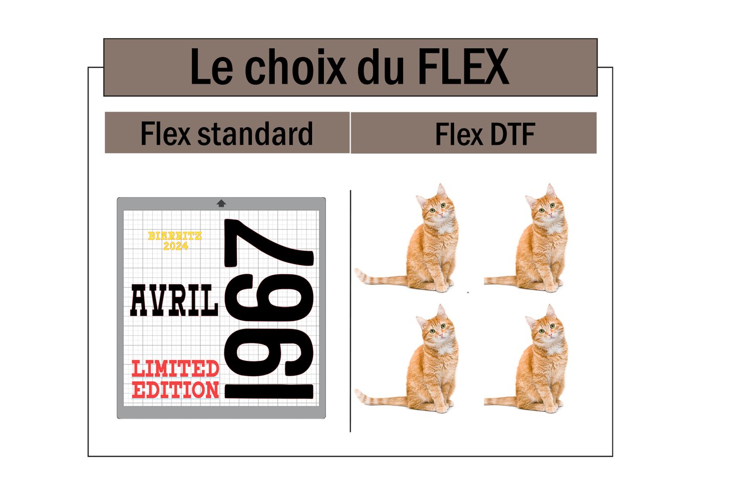 explication différent flex possible