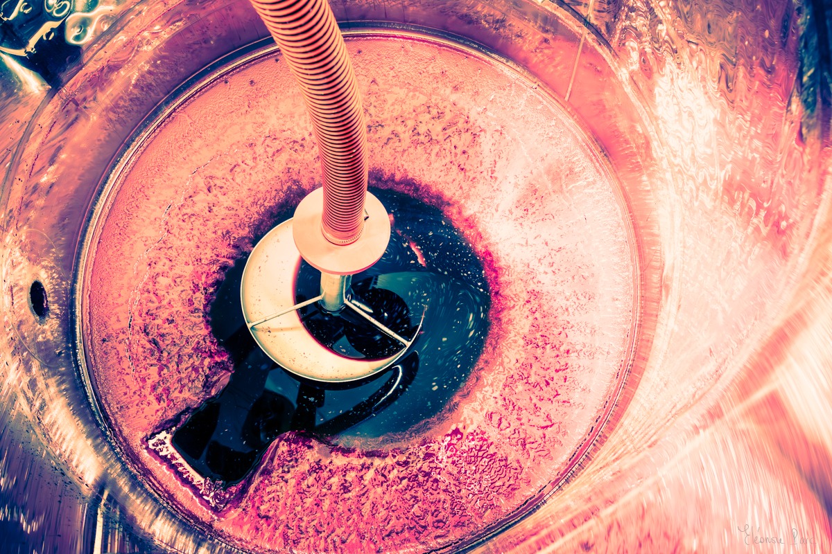 Fond de cuve argenté aux reflets pourpres, alchimie viticole en photographie d’art.