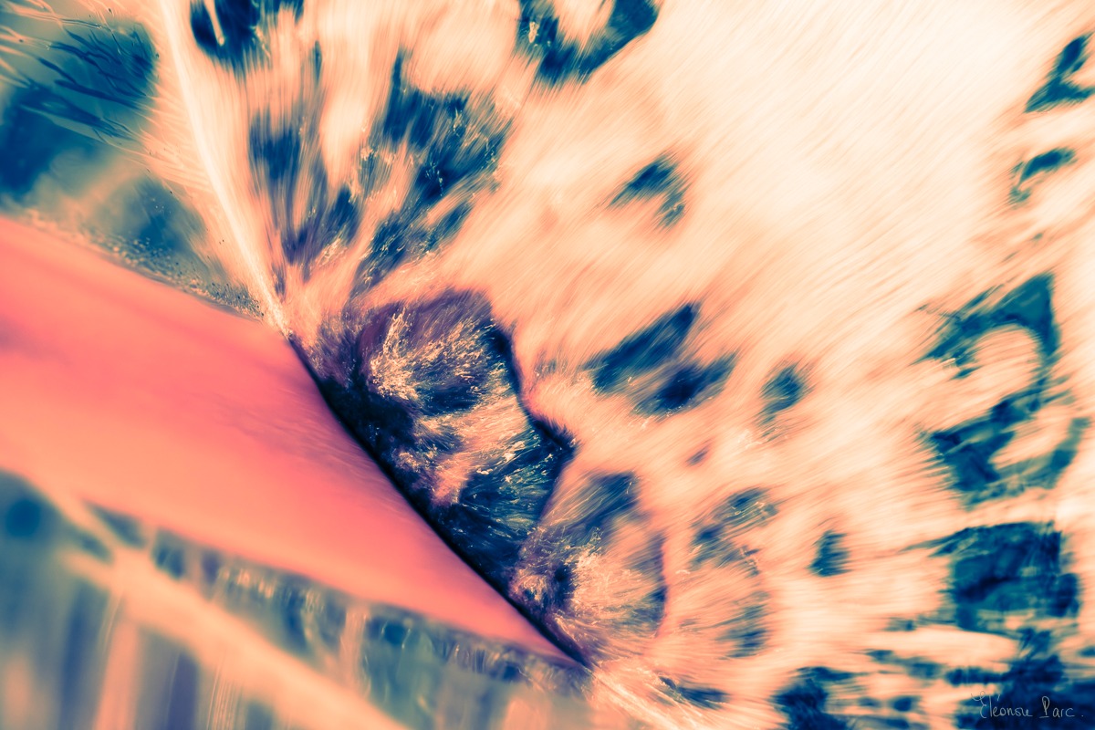 Tourbillon de vin en mouvement, photographie d’art évoquant la potion magique.