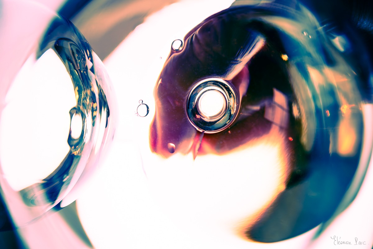 Reflets fluides et couleurs mouvantes dans le vin.