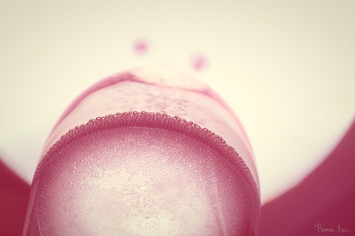 Le Vin en Rose – Bulles délicates dans un verre de vin rosé