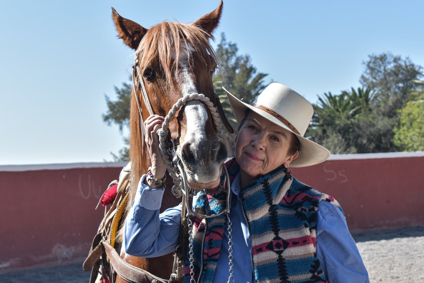 a woman in a cowboy hat and a horse