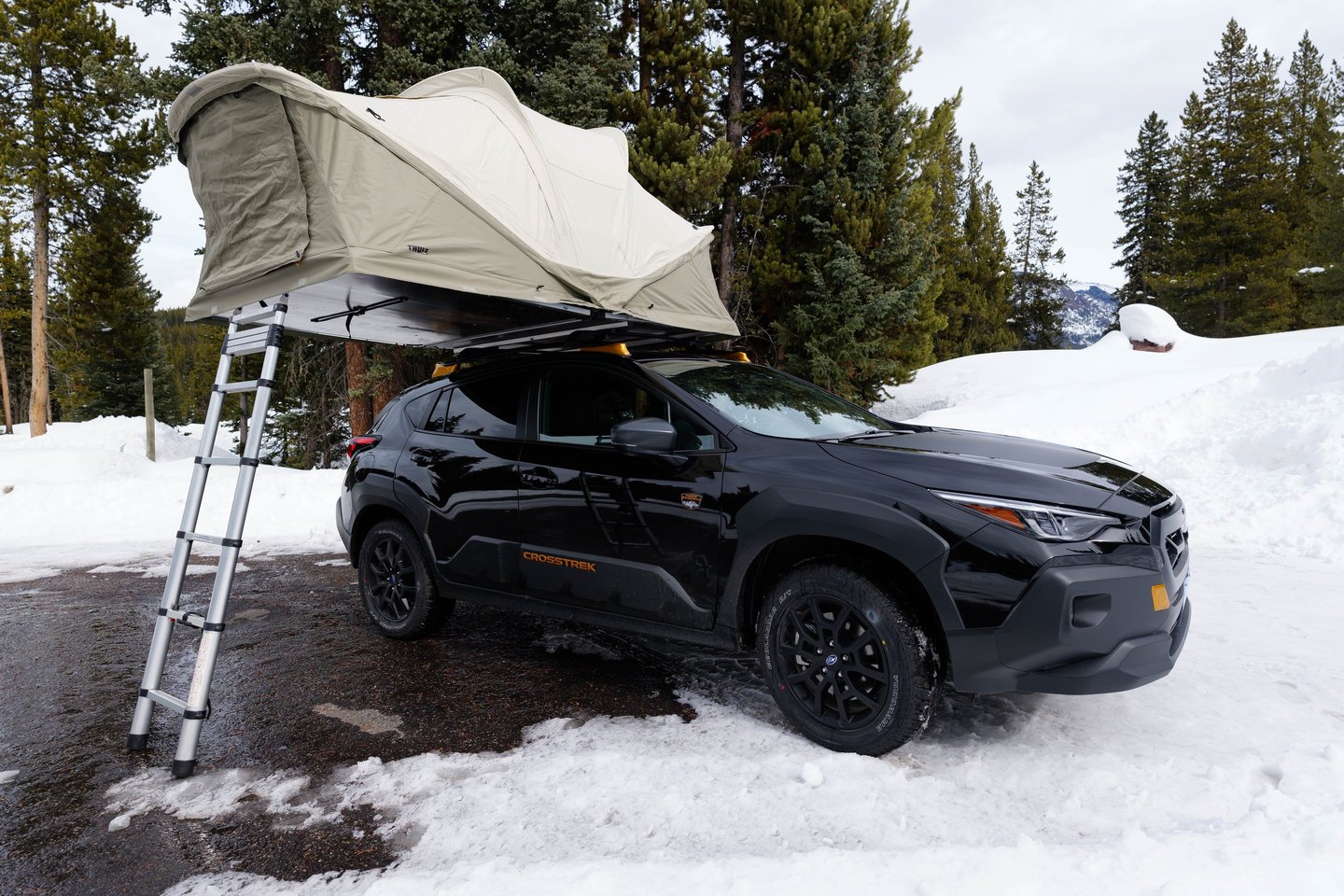 Wild Rovers 2025 Subaru Crosstrek Wilderness With Thule Approach M Rooftop Tent For Rent