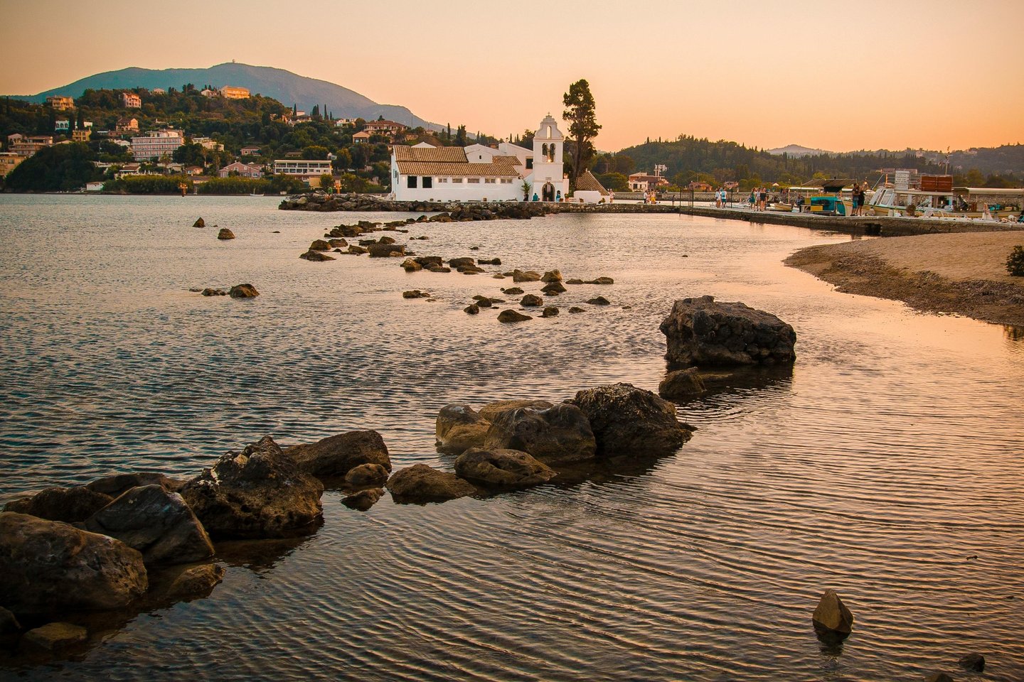 a bird is standing on rocks in the water