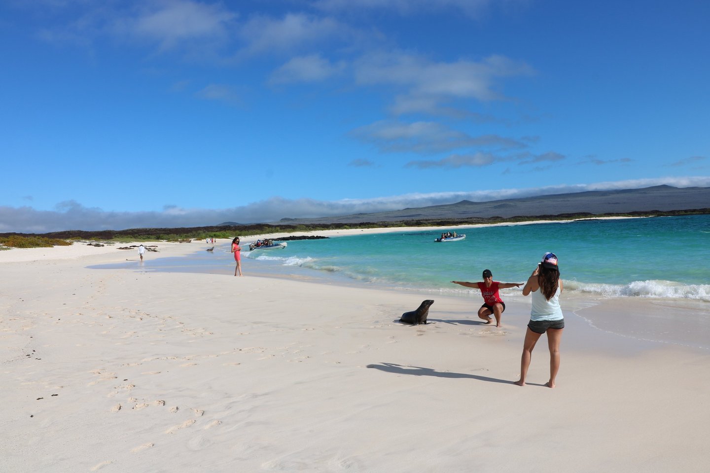 Family observing sea lion wildlife on a Galápagos Island nature walk beach