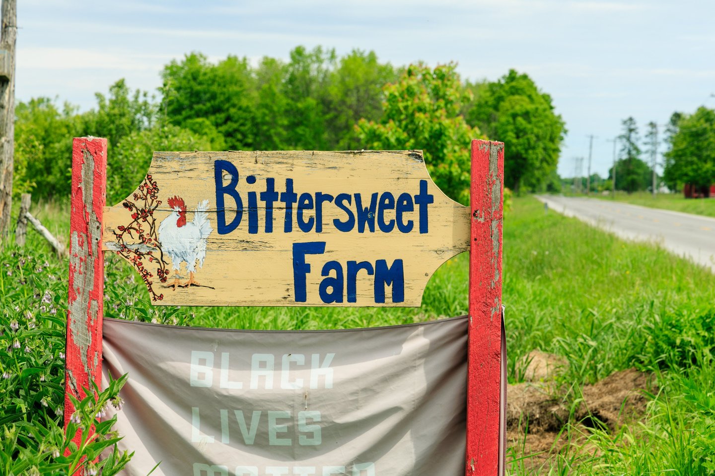 A hand painted sign with a rooster that says "Bittersweet Farm".