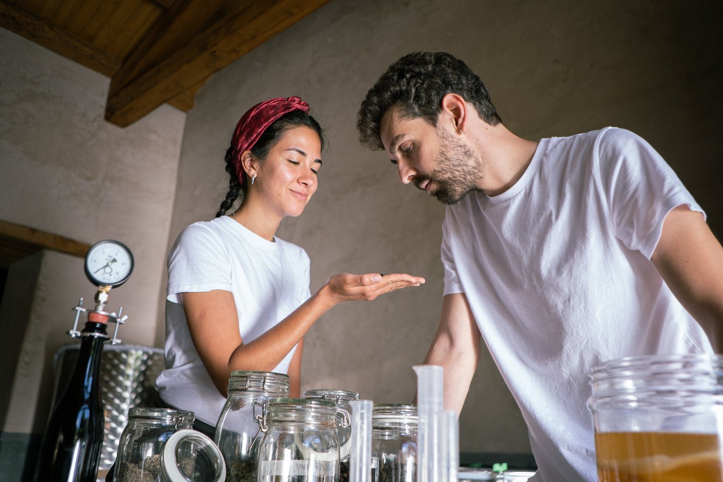 Selvatica Lab produttori di kombucha italiana