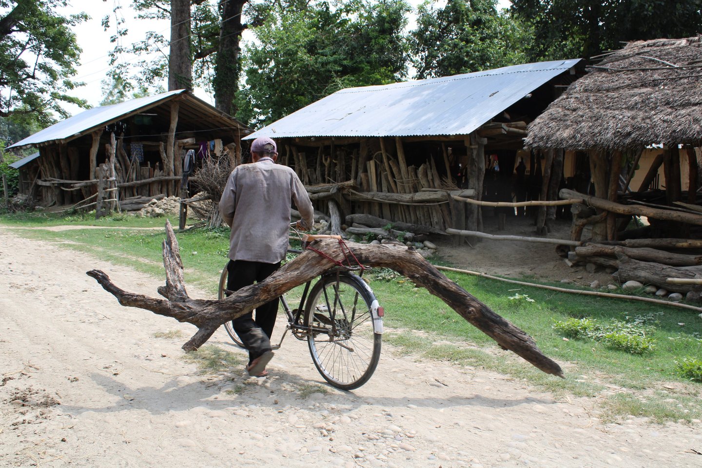 villageois ayant ramassé du bois