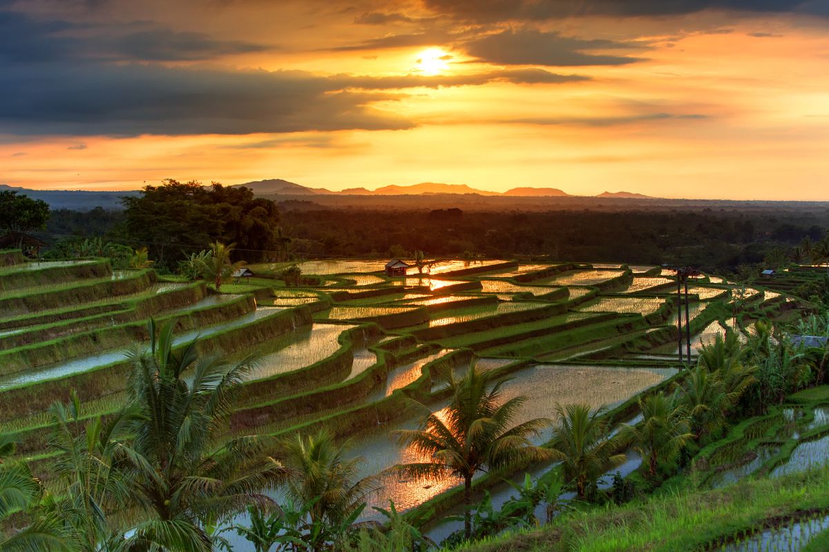 Jatiluwih Bali