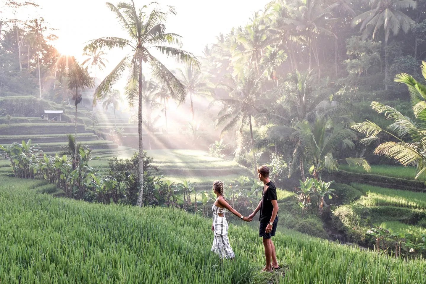 Rice Terrace - Ubud - Tegalalang