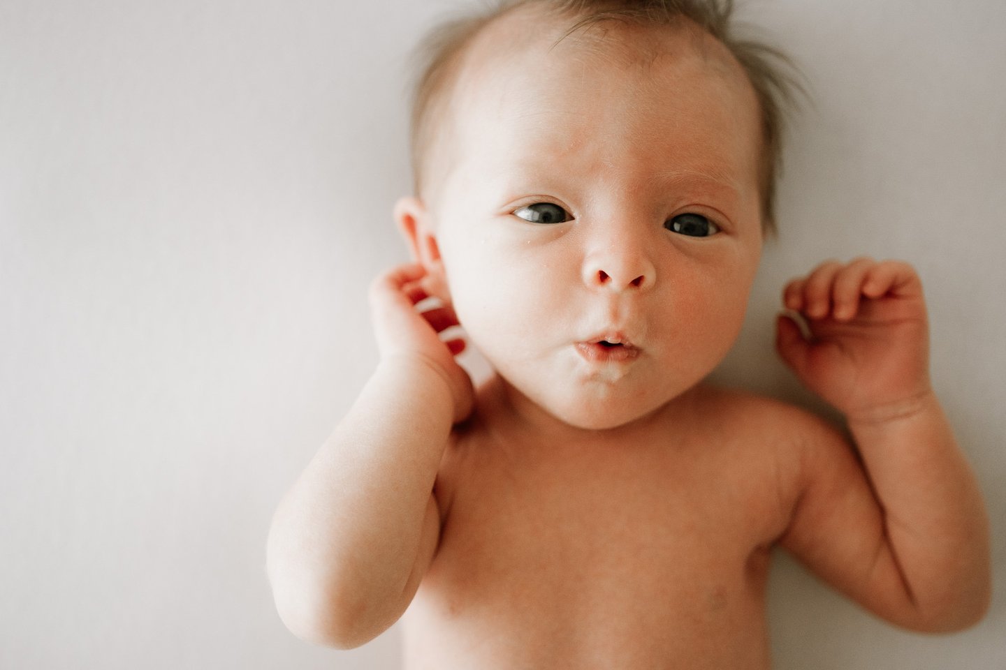 newborn close up looking at camera in studio, Littlehampton SA