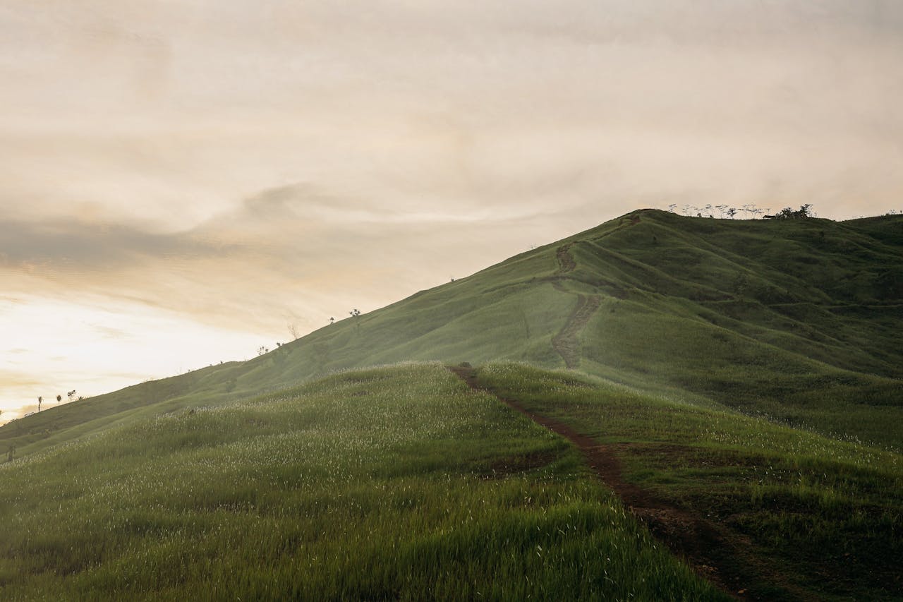 Acuerdo del Pleno no jurisdiccional de la Sala Tercera del Tribunal Supremo de 26/11/2025