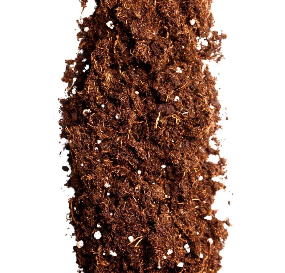 Indoor plant soil mix for houseplants showing balanced texture for drainage, airflow, and moisture 
