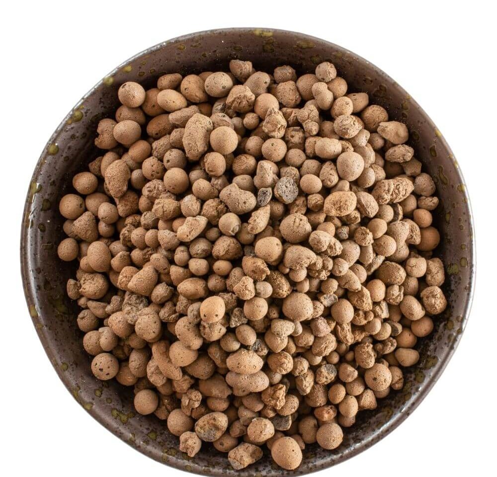 LECA semi hydro setup for indoor plants with clay pebbles in clear pot and water reservoir