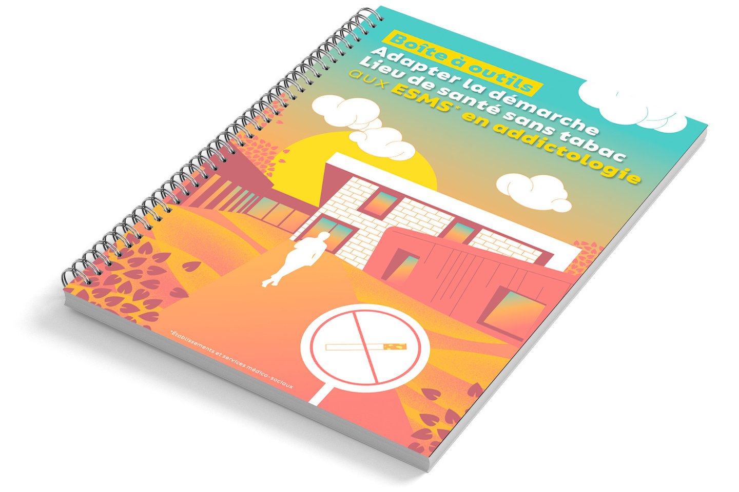 Couverture publication ESMS