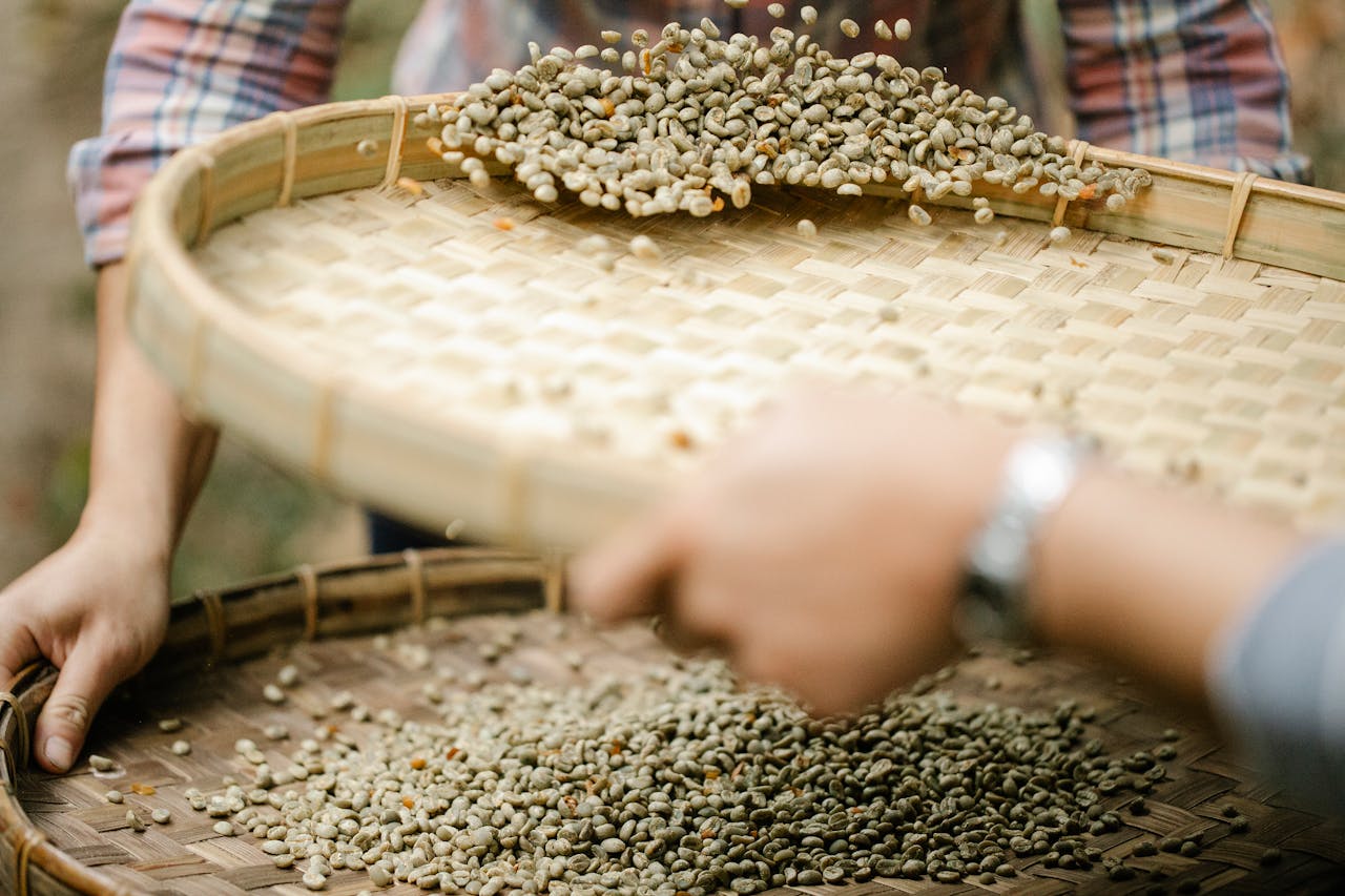 Photo by Michael Burrows: https://www.pexels.com/photo/crop-farmers-with-bamboo-trays-sorting-dry-co