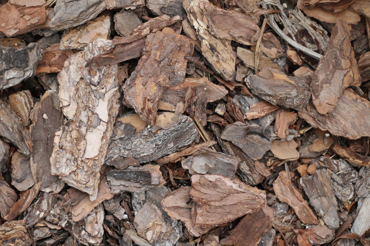 mulch out of tree bark