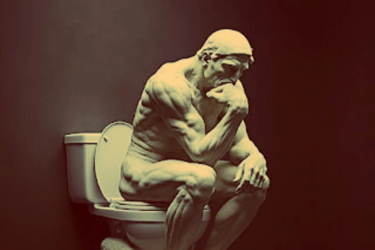 Pensador de Rodin a statue of a man sitting on a toilet