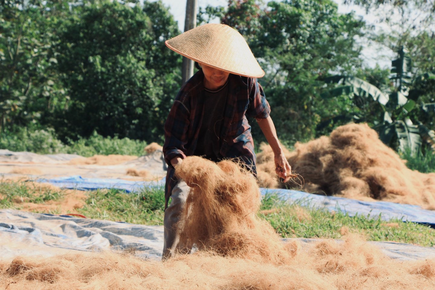 coirfiber drying process