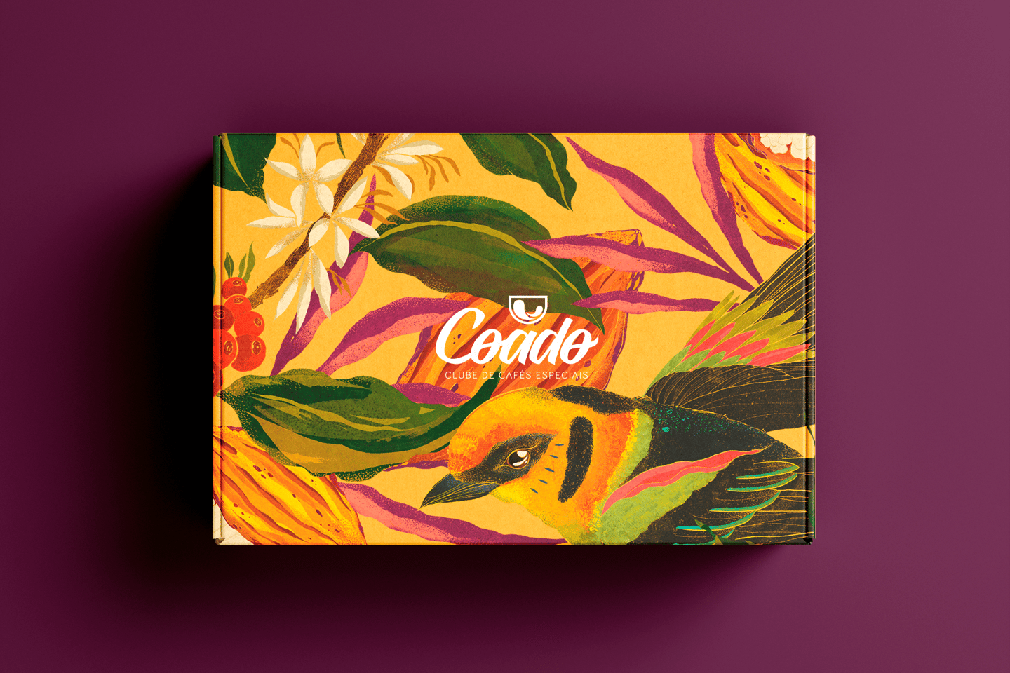ilustração