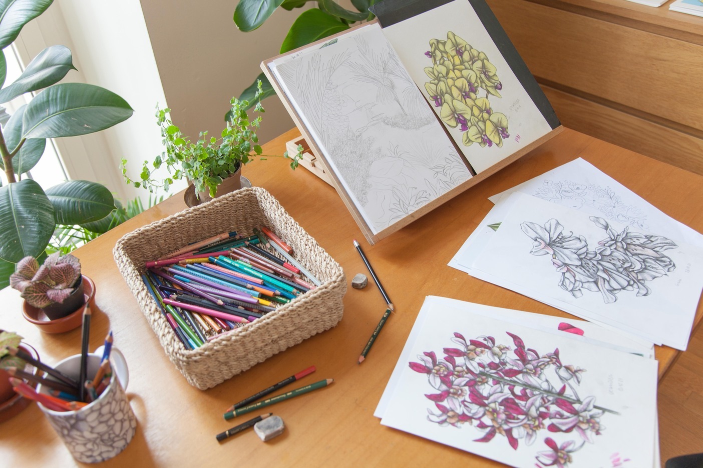 A desk with pencils and hand-drawn floral illustrations