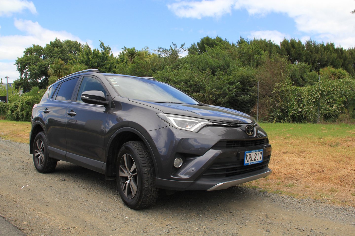 rental car tauranga