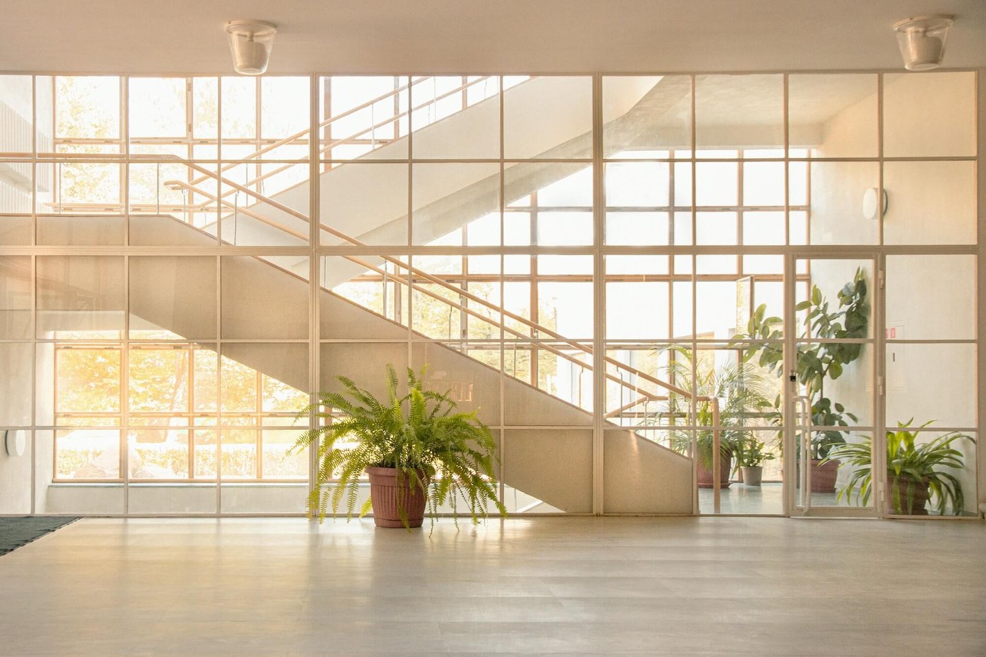 Corporate wellness Reset sessions and energy clearing for organisations — Lionel Gougne Brussels