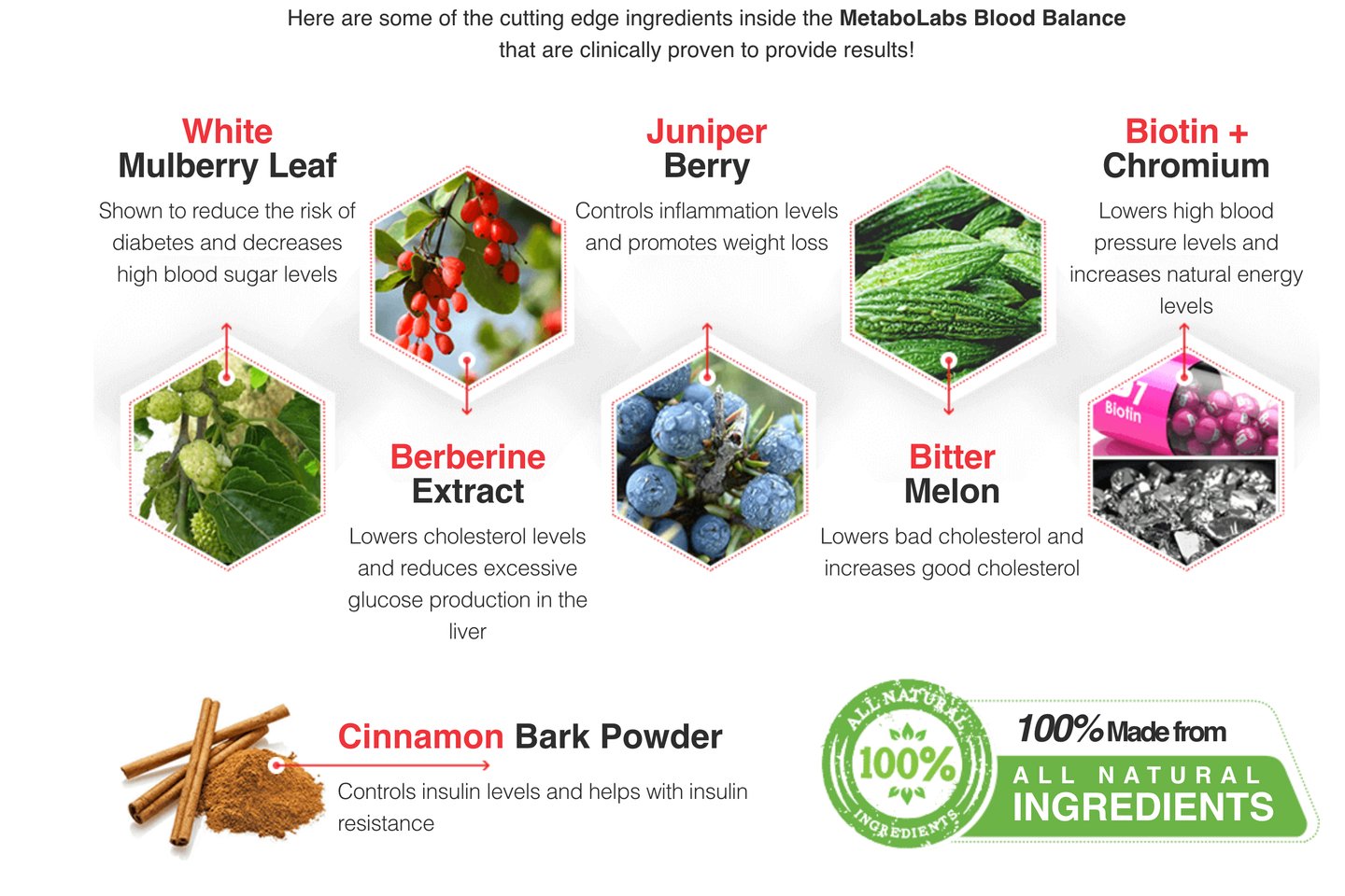MetaboLabs Blood Balance Ingredients