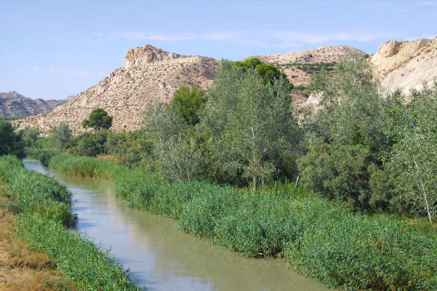 The Segura River as it passes through Archena.
