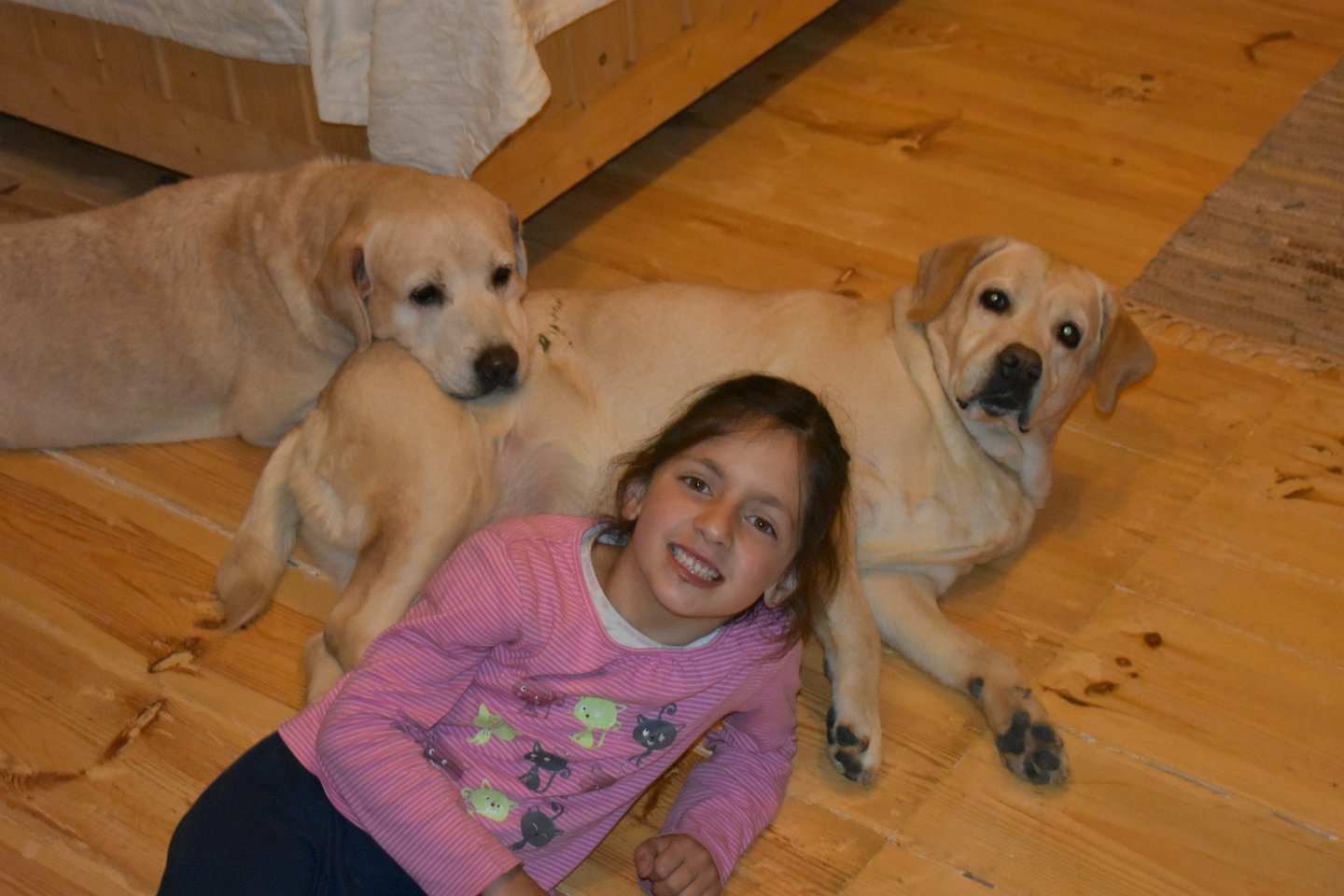 Dog Boarding, Dog Boarding near me, Pet Boarding, Pet Boarding near me, Dog Care, Happy Pettings