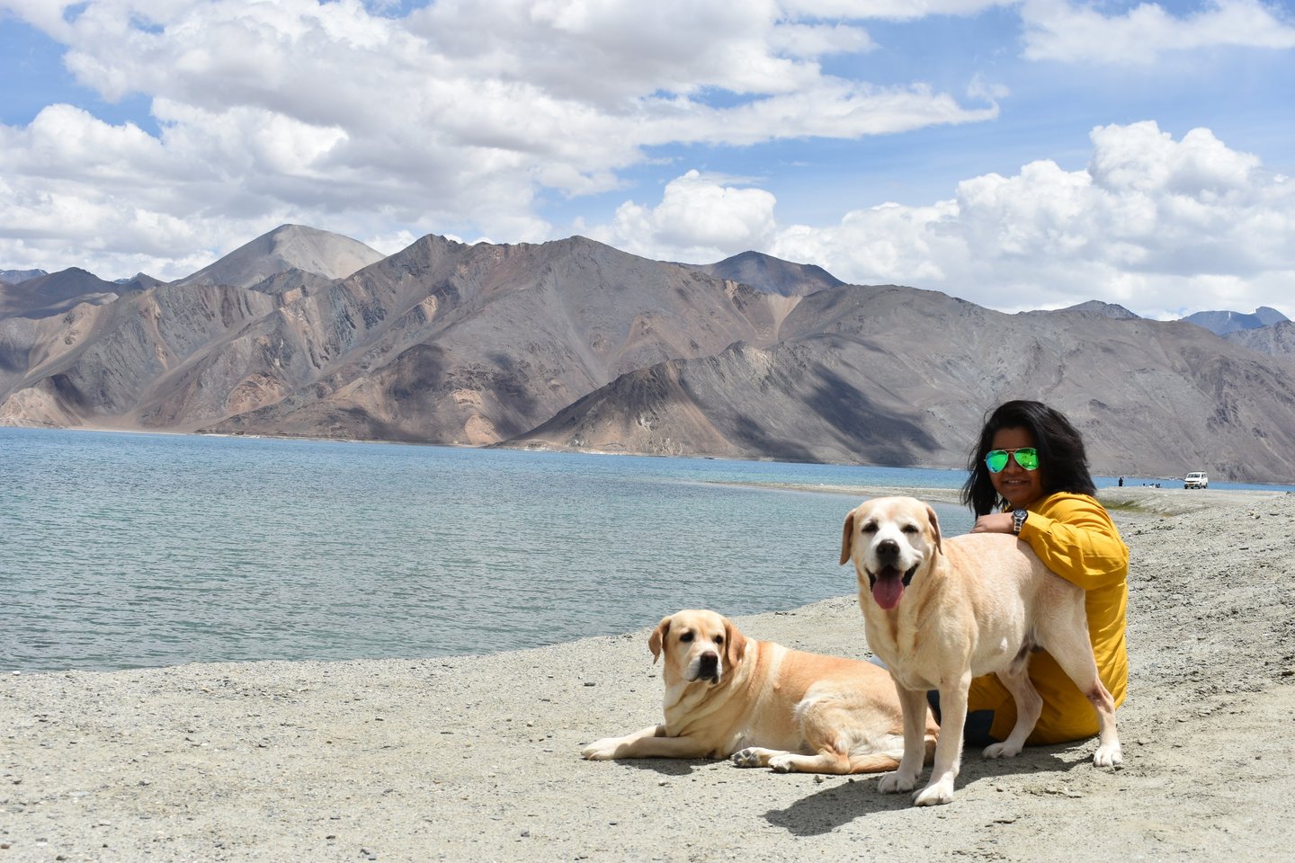 Dog Boarding, Dog Boarding near me, Pet Boarding, Pet Boarding near me, Dog Care, Happy Pettings