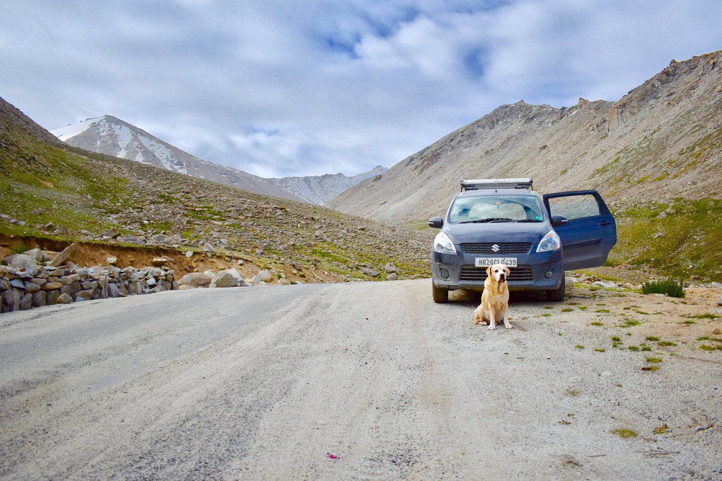 Dog Boarding, Dog Boarding near me, Pet Boarding, Pet Boarding near me, Dog Care, Happy Pettings