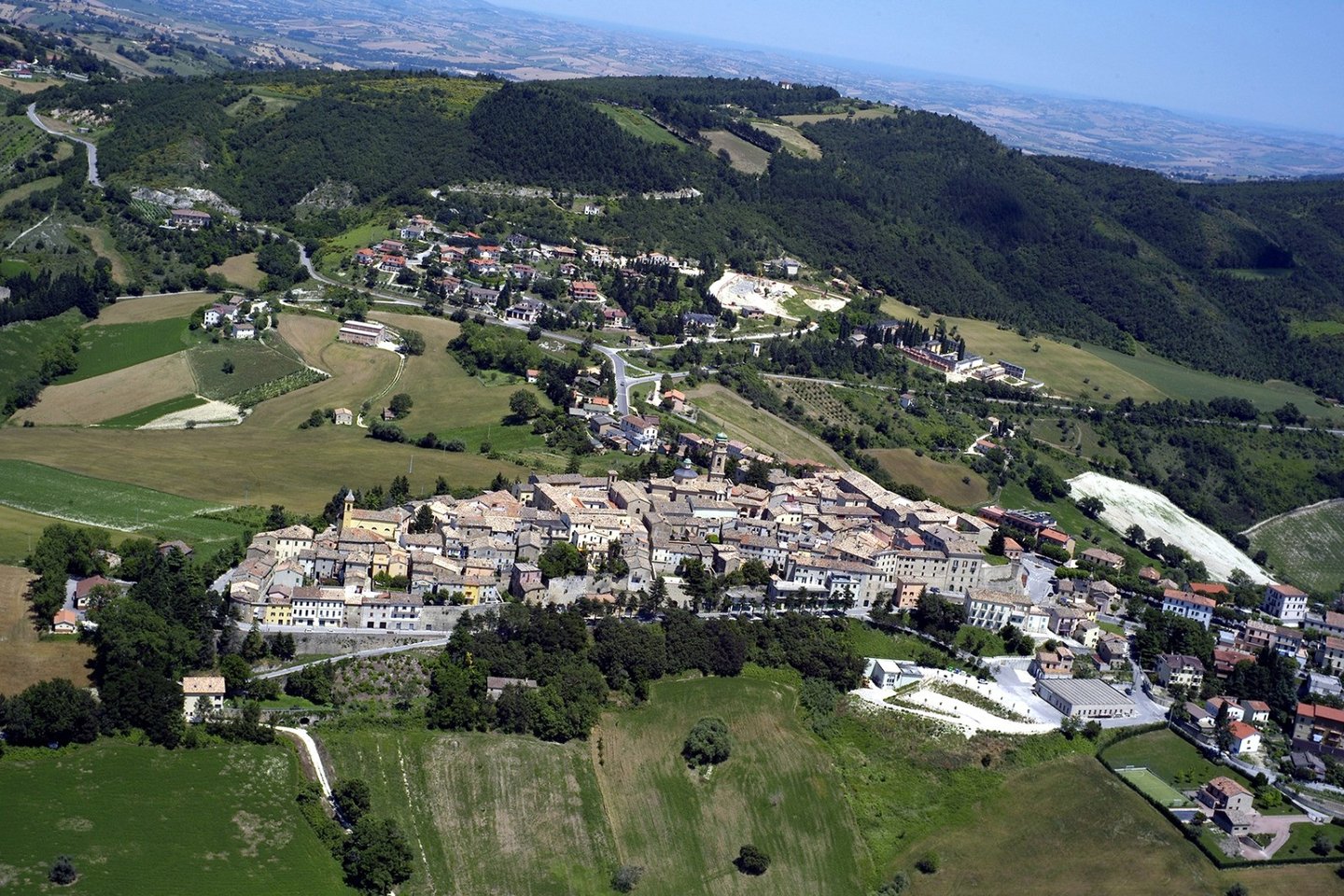 Vigneti e colline panoramiche nelle Marche