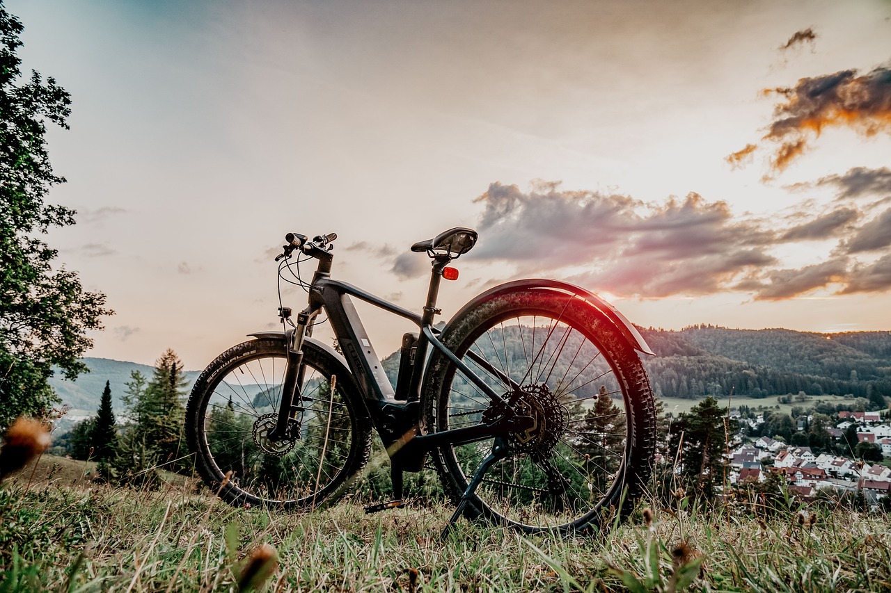 Abgestelltes E-Bike vor Naturkulisse