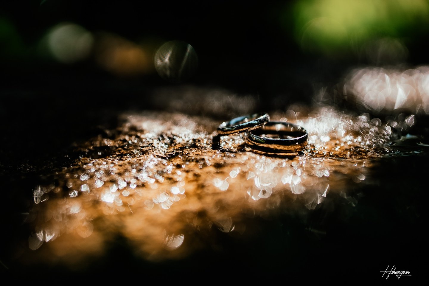 two wedding rings on a rock with water droplets