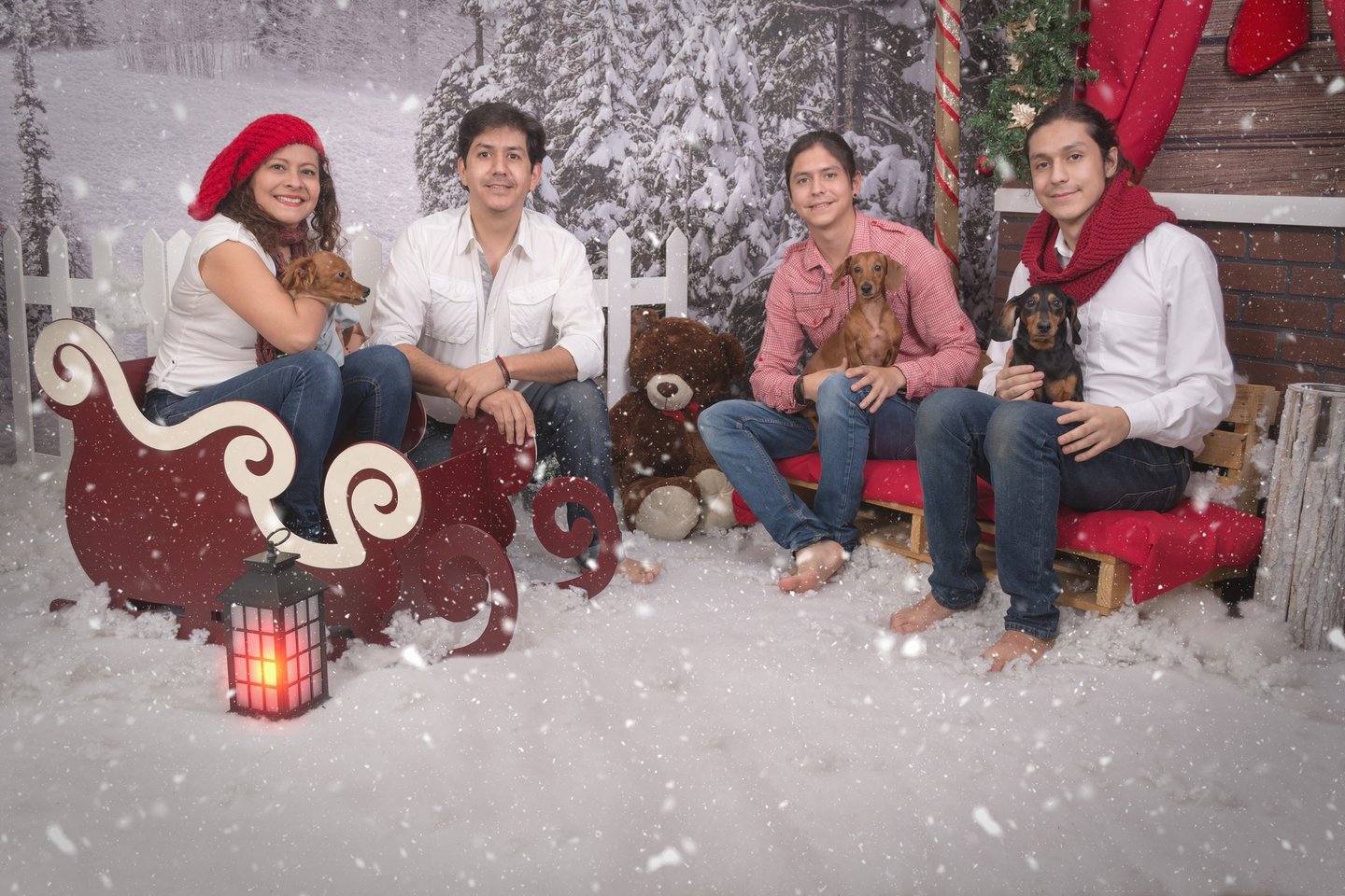 a family of four sitting on a sleigh