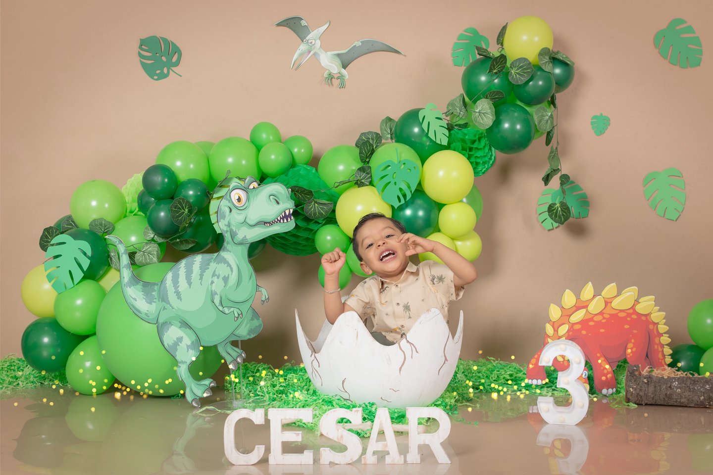 a baby boy in a dinosaur costume sitting in an egg egg egg
