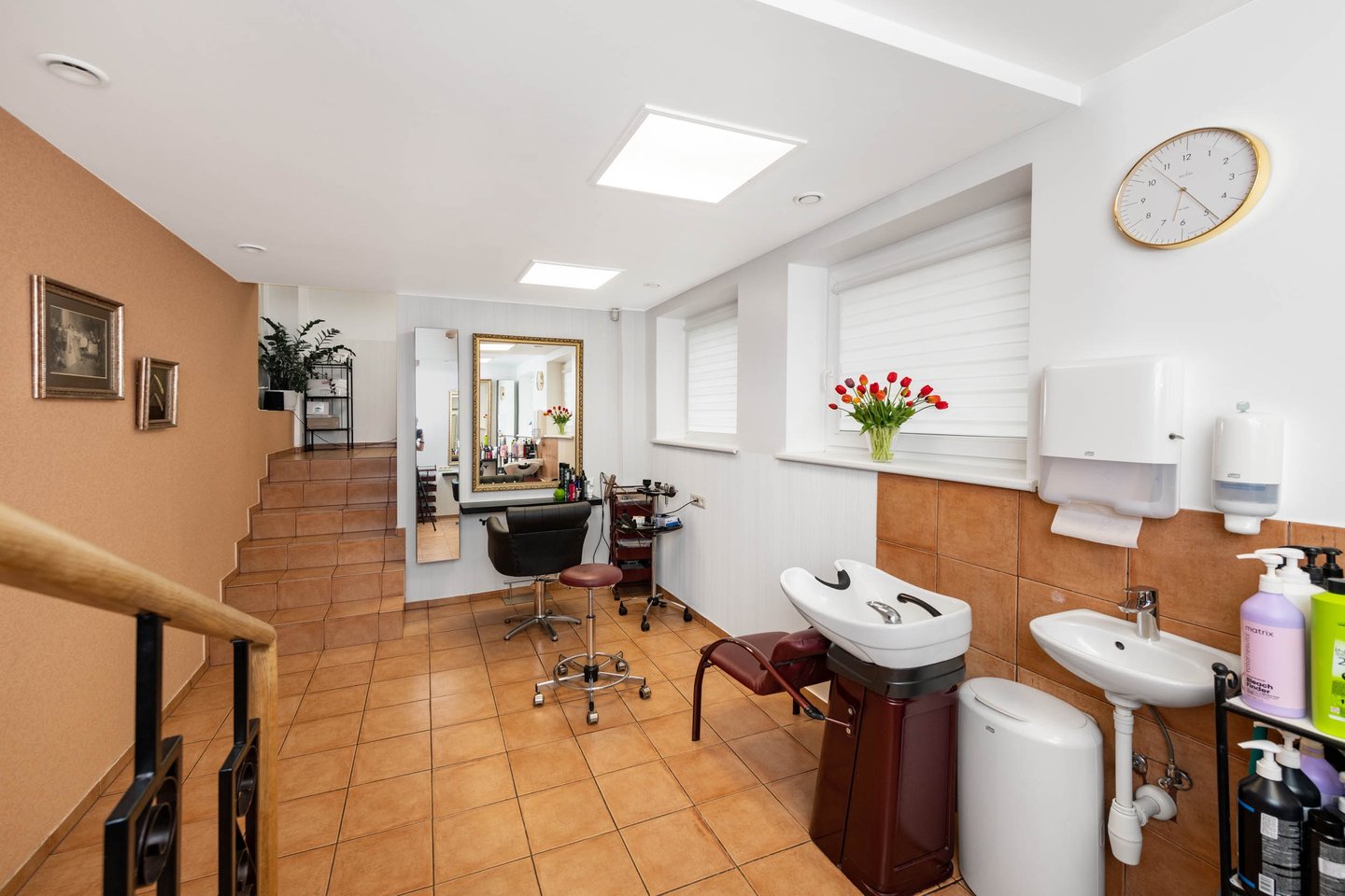 sienų dangos salonams