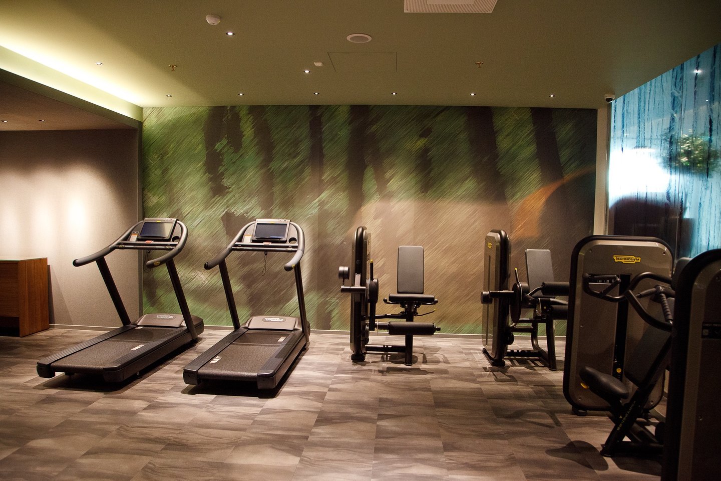 apdaila sporto saleje