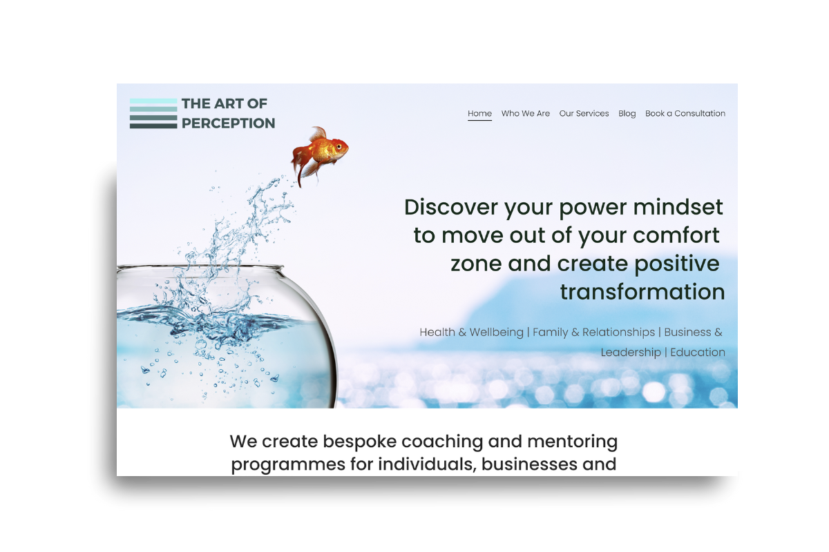 Screenshot of the Art of Perception website