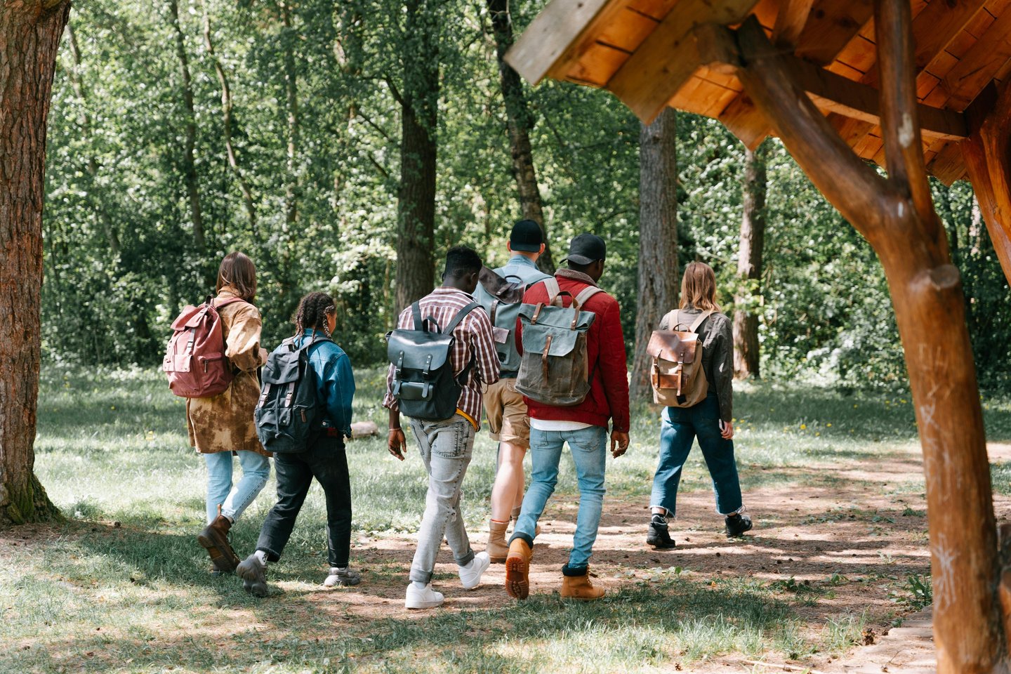 a group of people walking through a forest