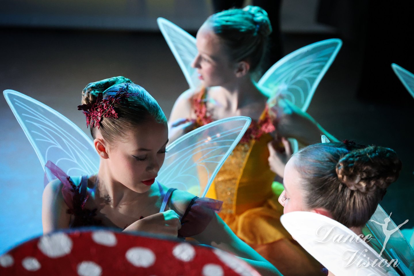 a group of young dancers dressed in fairy themed costumes