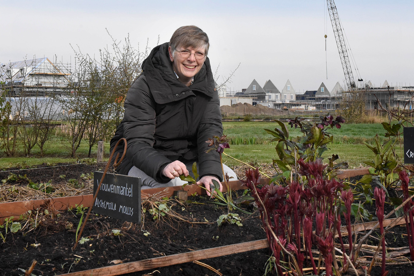 esther van den bor werkt in de groentetuin