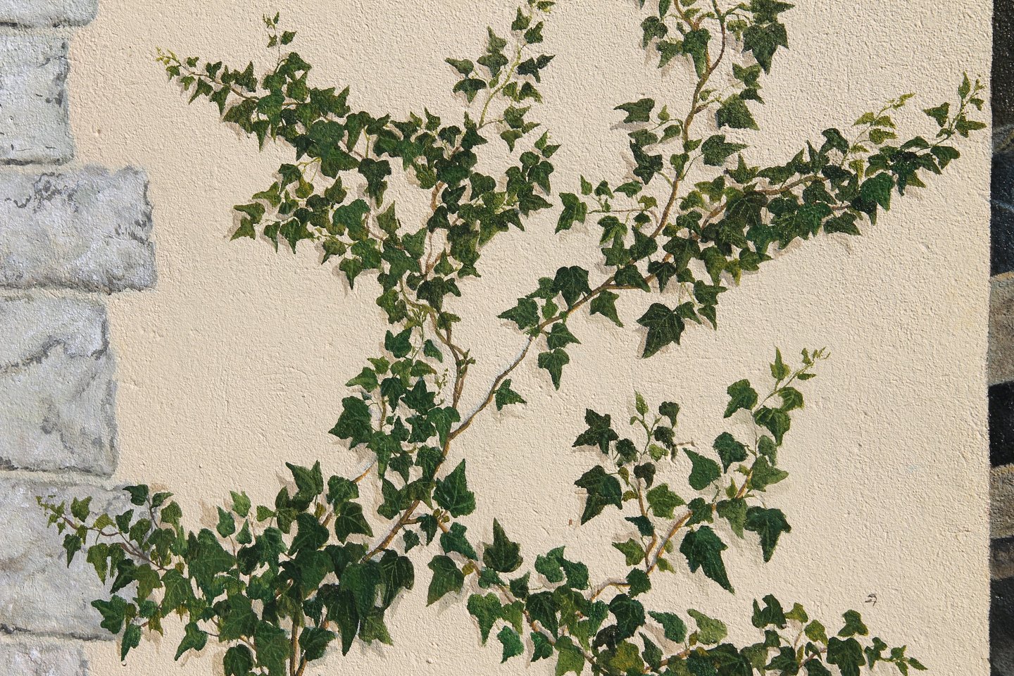 Lierre et pierres peints en trompe-l'oeil sur une façade