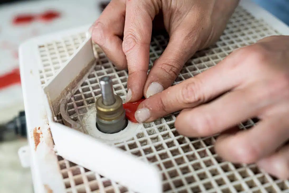 Fotografía: Clara Manzano