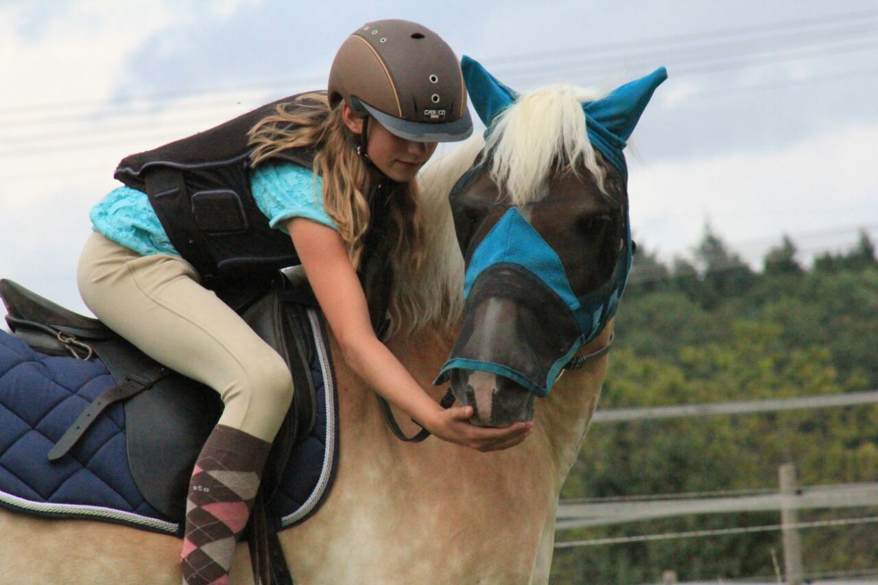 Mädchen sitzt auf einem Haflinger Pferd und gibt ihm ein Leckerli