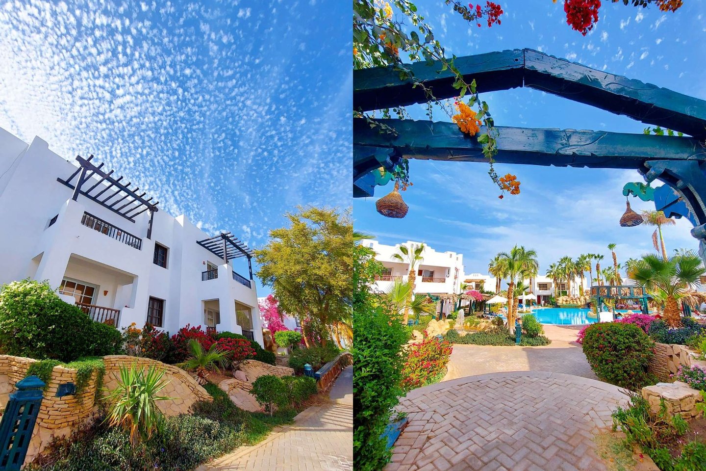 BUY SELL RENT PROPERTY REAL ESTATE SHARM EL SHEIKH buy invest Egypt