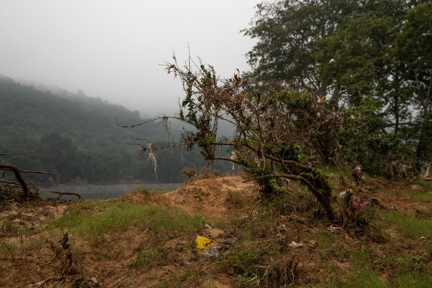 A more closer look at the dump segregated on the branches.
