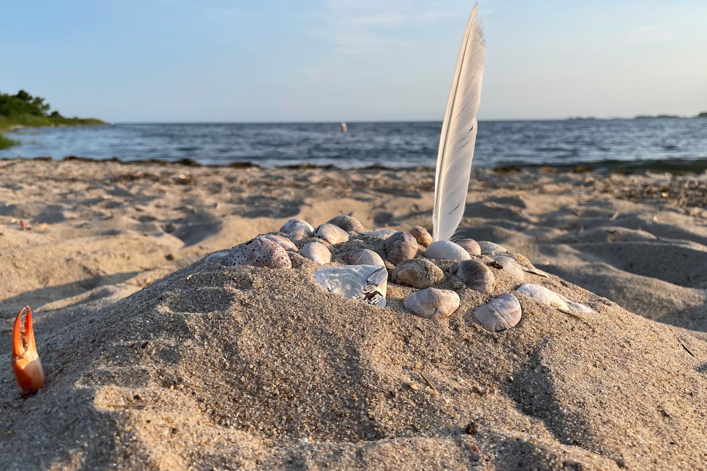 A feather and a crab claw suggest the epic journey of Odysseus at the Town Beach in Clinton, CT