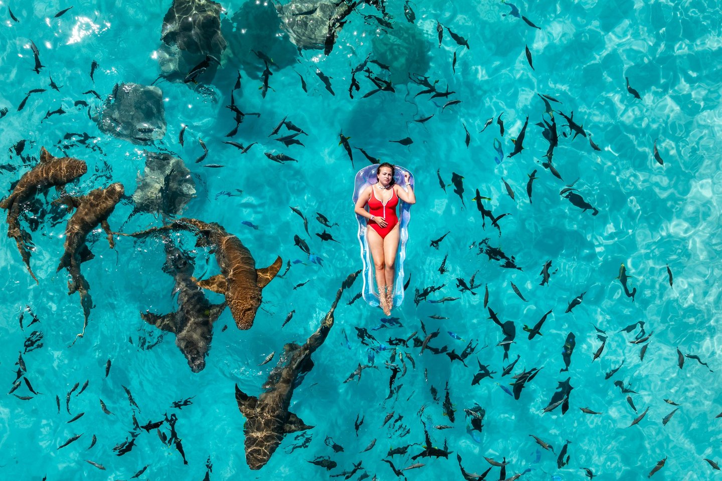 Woman in a red swimsuit floating on a raft surrounded by nurse sharks and tropical fish in clear blue water.